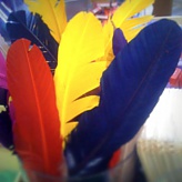Feathers