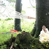 Buddhafield Yatra: Avebury